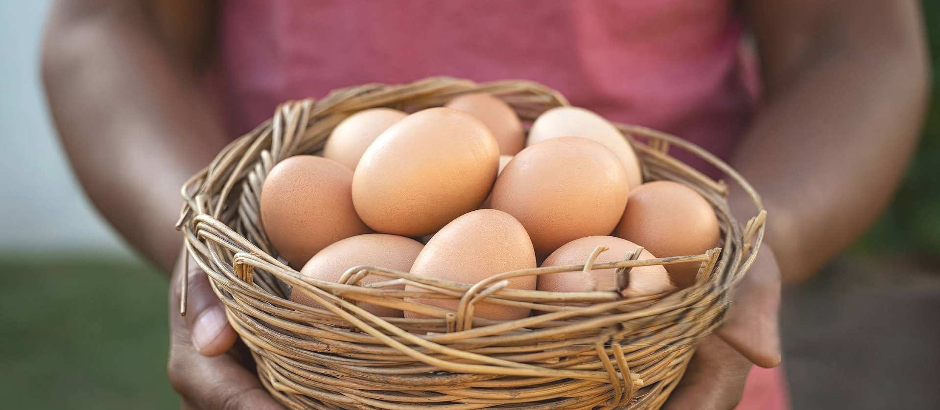 Eggs Collection